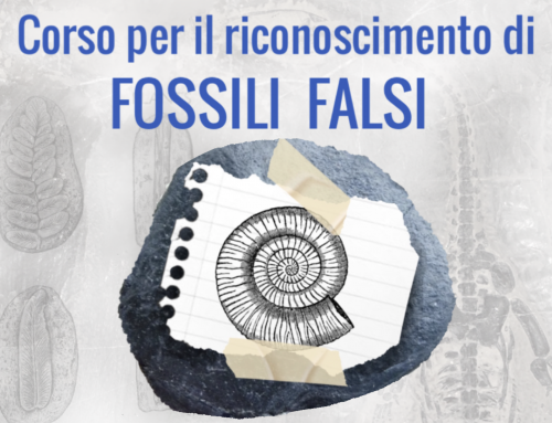 Corso Riconoscimento Fossili Falsi